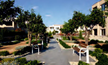 ԴDƬ21